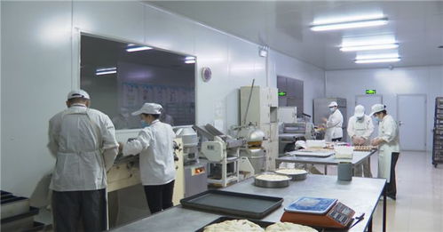 開門紅 黑龍江自貿試驗區黑河片區大項目建設首季發力