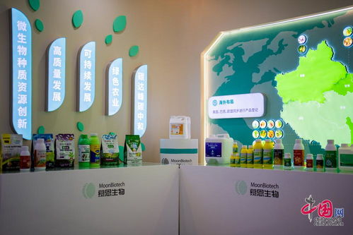 解碼湖南合成生物制造的創(chuàng)新密碼 從產(chǎn)業(yè)布局到企業(yè)實踐的觀察