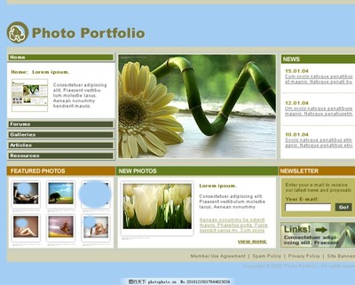 融合創(chuàng)新與科技 如何通過創(chuàng)意網(wǎng)頁設(shè)計賦能科技咨詢服務(wù)